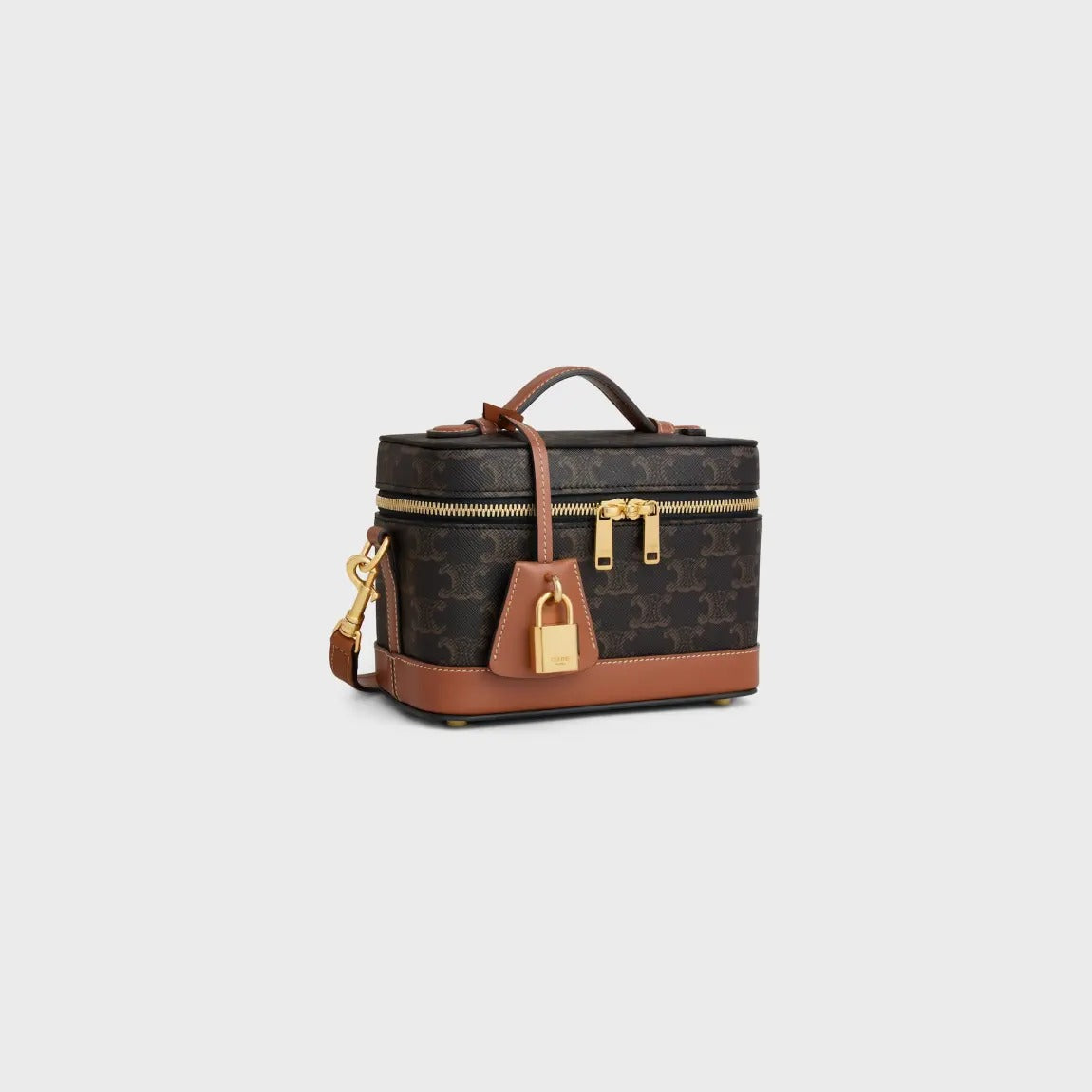 Vanity In Triomphe Canvas and Calfskin