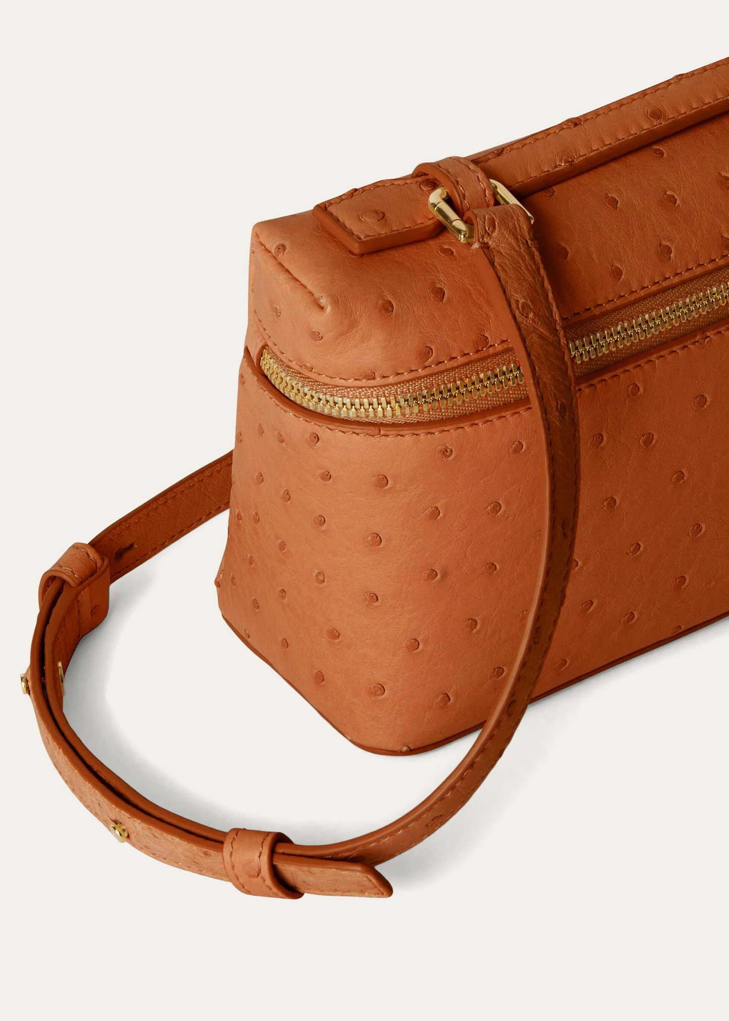Extra Pocket Lizard L19