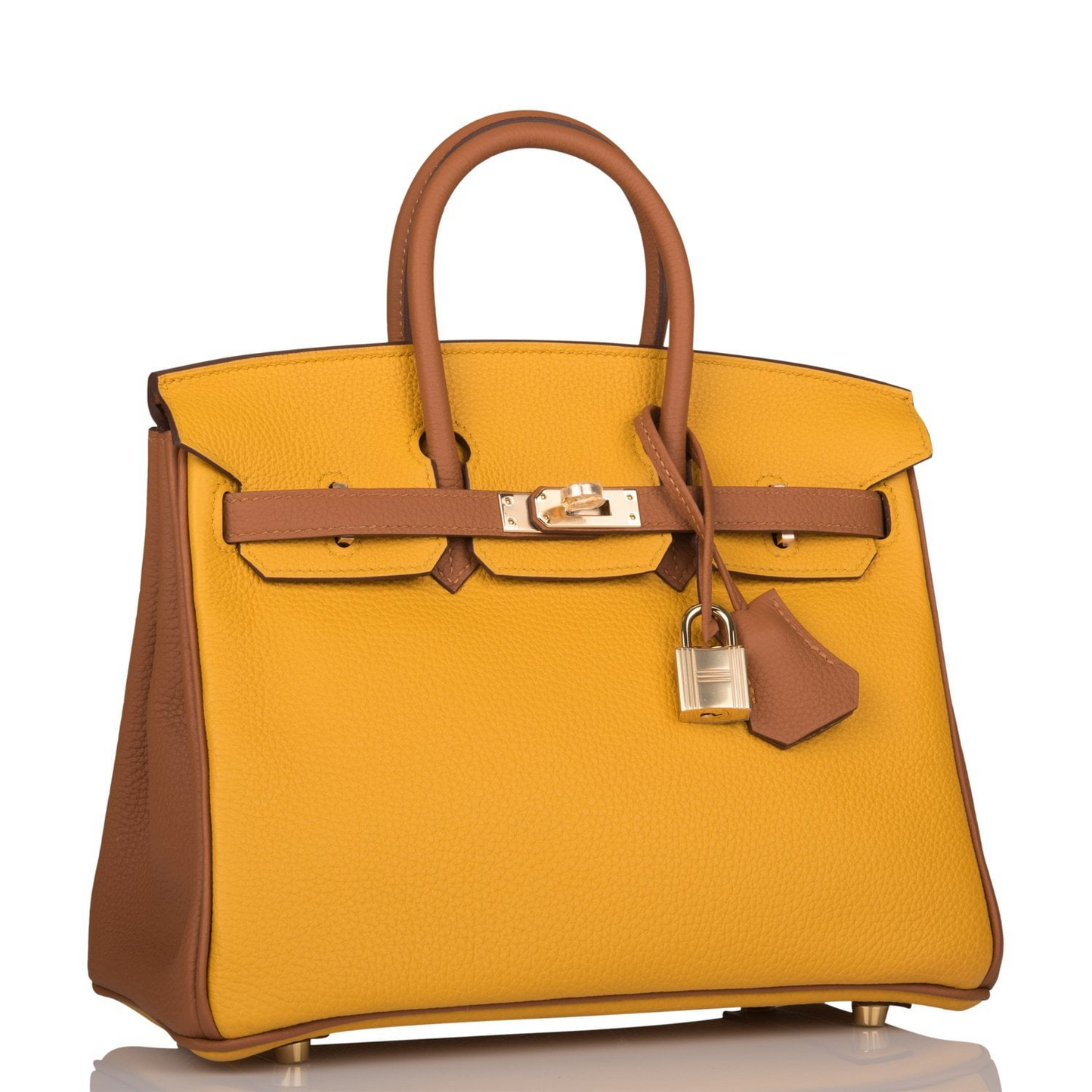 Hermès Special Order (HSS) Birkin 25 Jaune Ambre and Gold Togo Permabrass Hardware