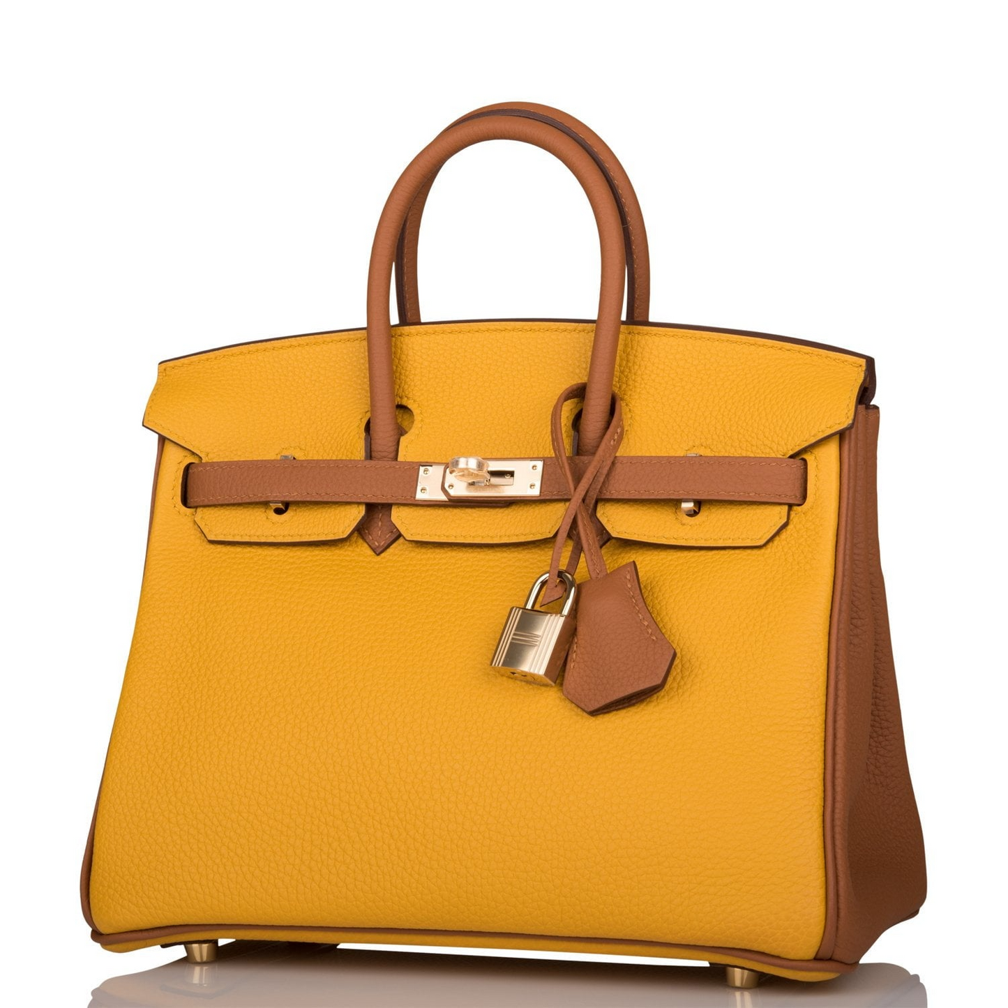Hermès Special Order (HSS) Birkin 25 Jaune Ambre and Gold Togo Permabrass Hardware