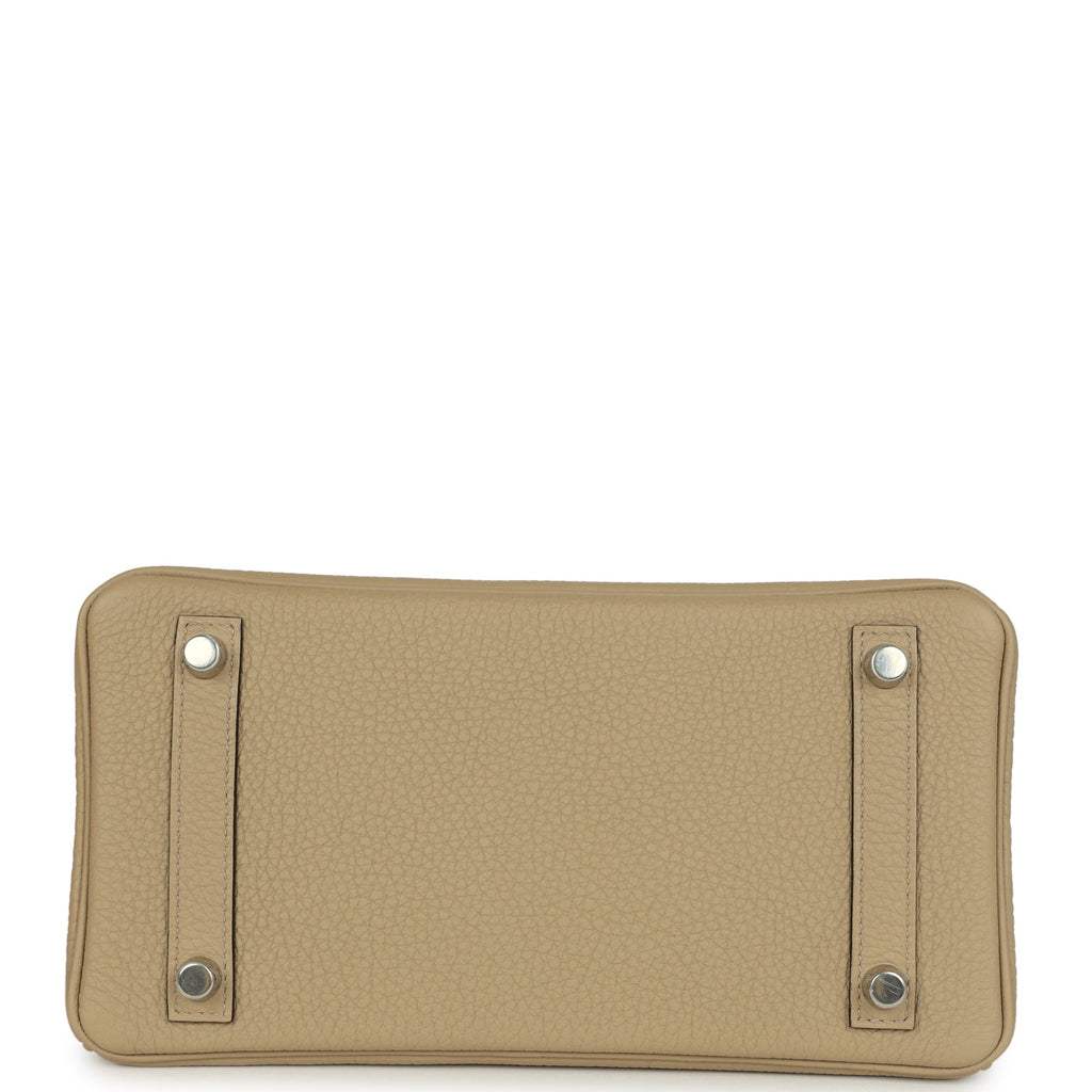 Birkin 25 Trench Verso Togo Palladium Hardware