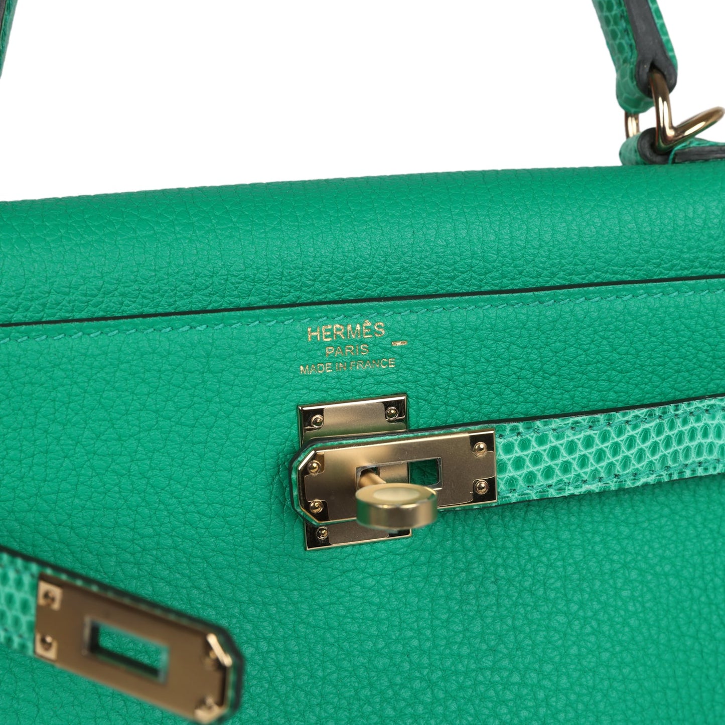 Kelly Retourne 25 Menthe Togo and Varanus Niloticus Lizard Touch Permabrass Hardware