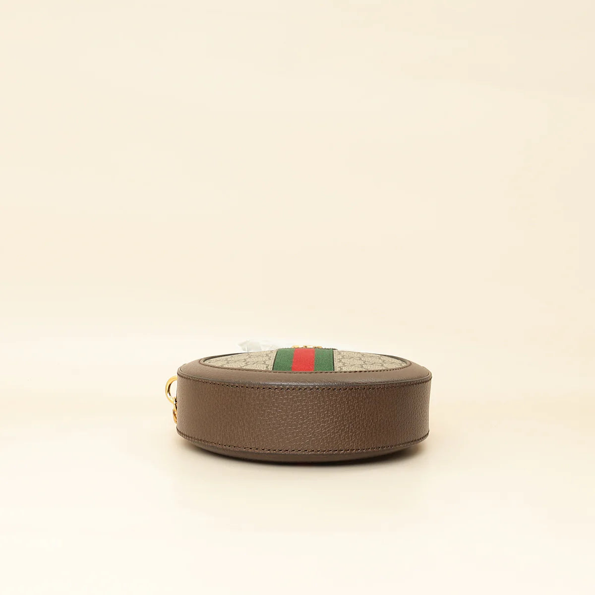 Gucci Bicolor Ophidia Round Shoulder
