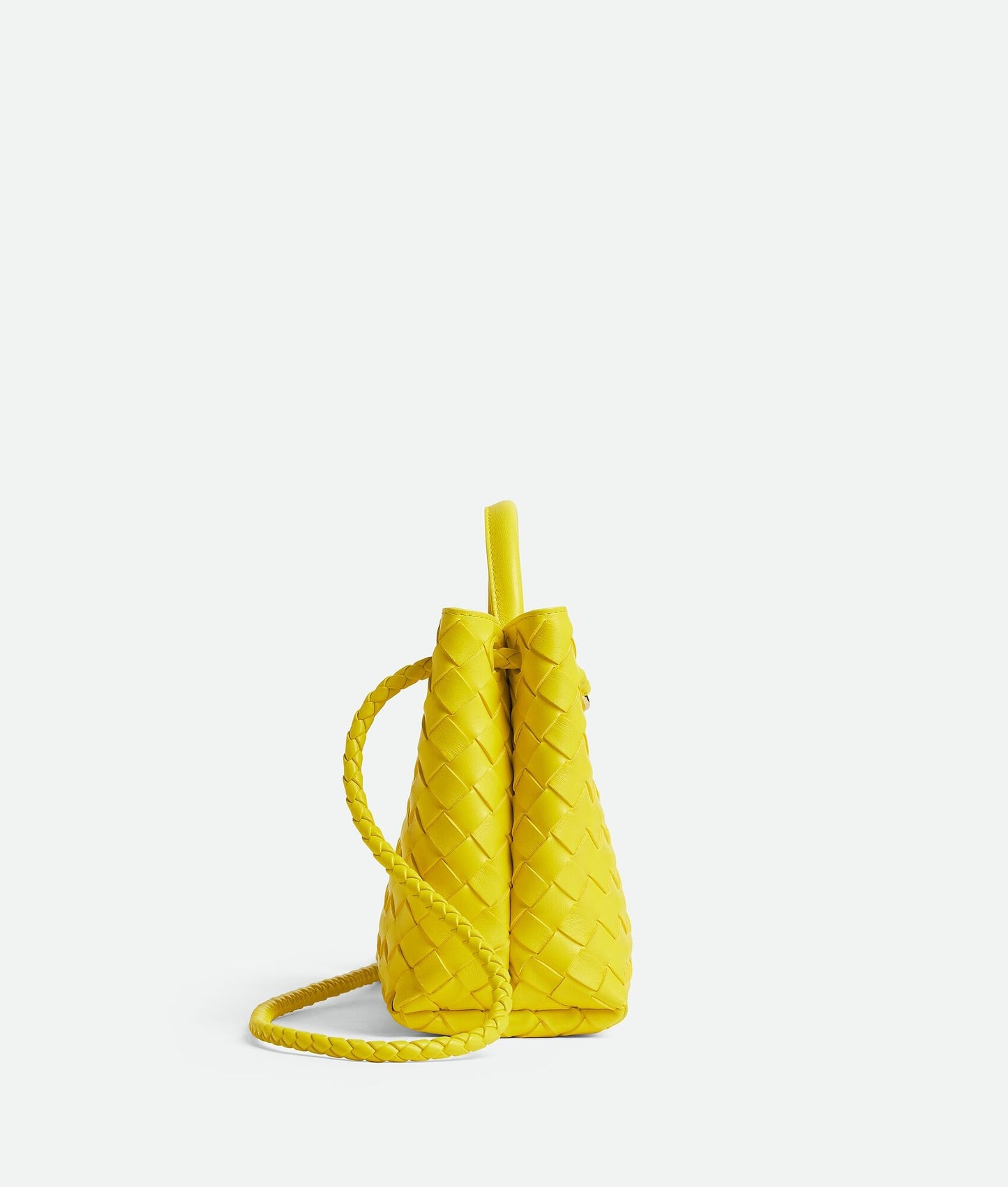 Bottega Veneta Small Andiamo