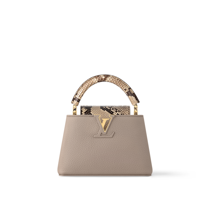 Louis Vuitton Capucines Mini