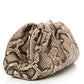 Bottega Veneta Medium Pouch