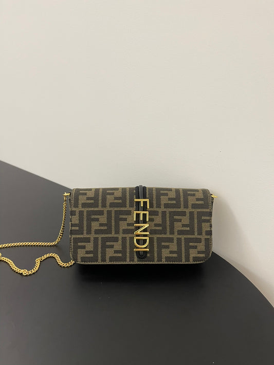 Fendigraphy portfolio with a series