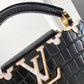 Louis Vuitton Capucines Mini