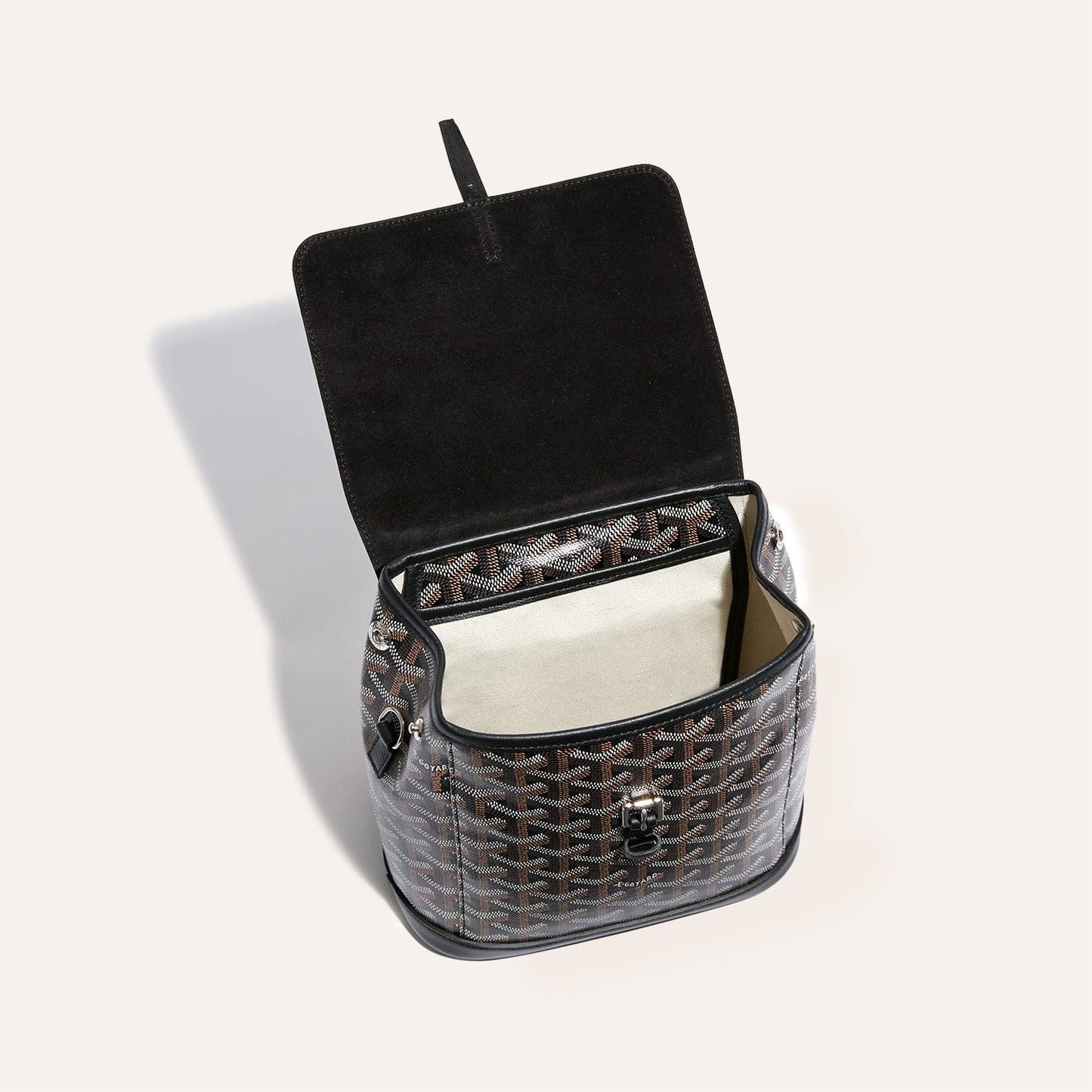Goyard Alpin Mini Backpack