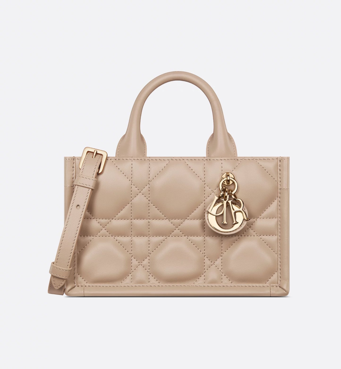 Mini Dior Book Tote