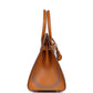 Birkin Sellier 30 "Zouaves Et Dragons" Naturel Sable Butler Palladium Hardware