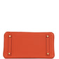 Birkin 30 Terre Battue Togo Gold Hardware