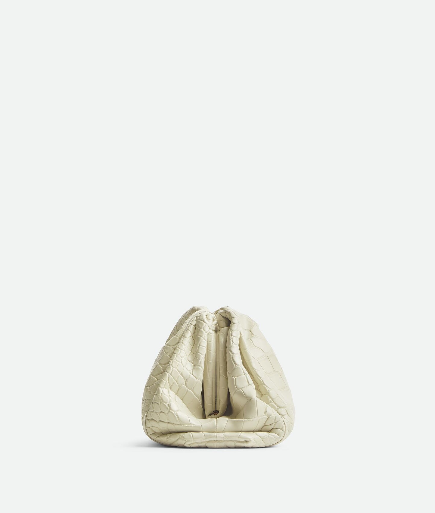 Bottega Veneta Medium Pouch