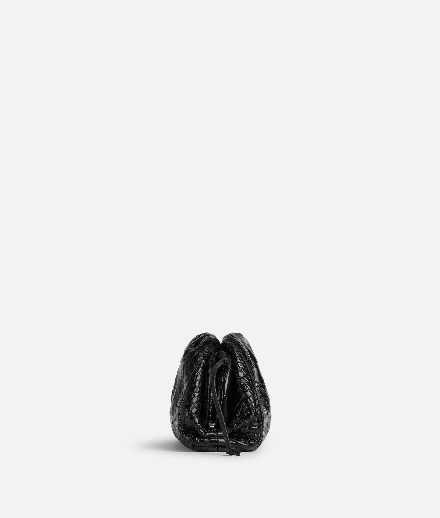 Bottega Veneta Mini Pouch