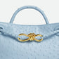Bottega Veneta Small Andiamo