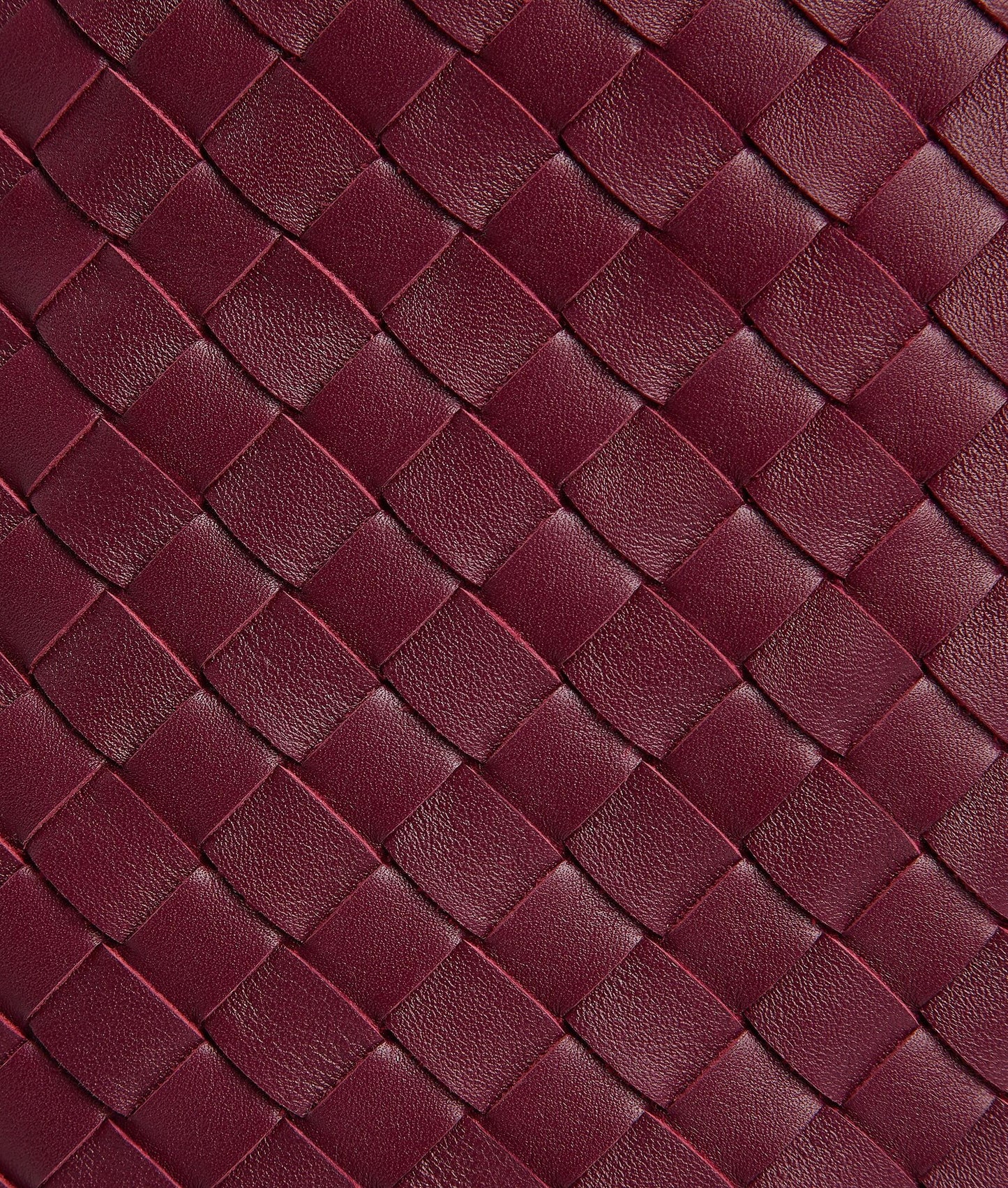 Bottega Veneta Pinacoteca