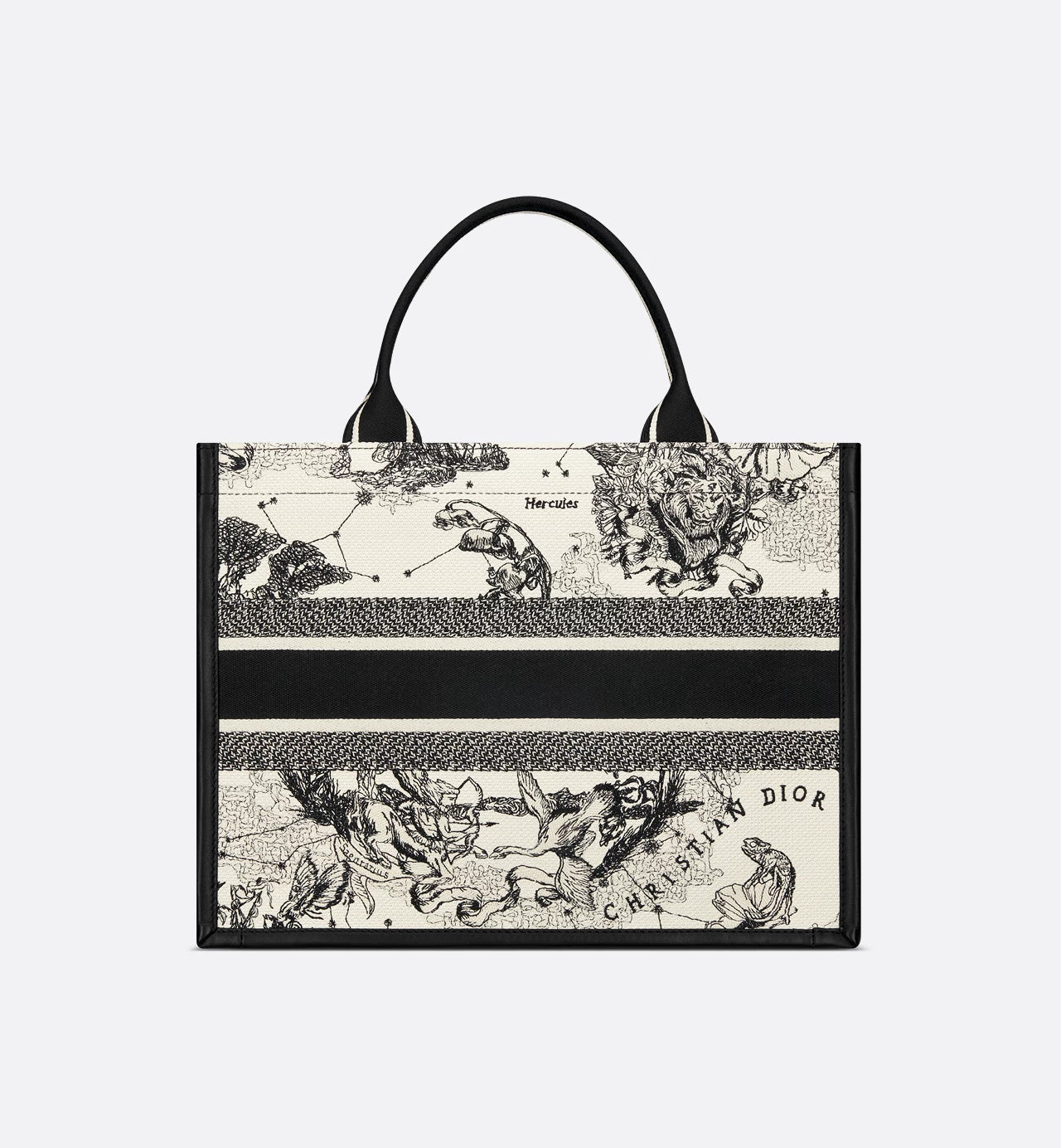 Medium Dior Book Tote
