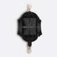 Dior Toujours Vertical Tote Bag