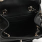 Chanel Mini Duma Backpack