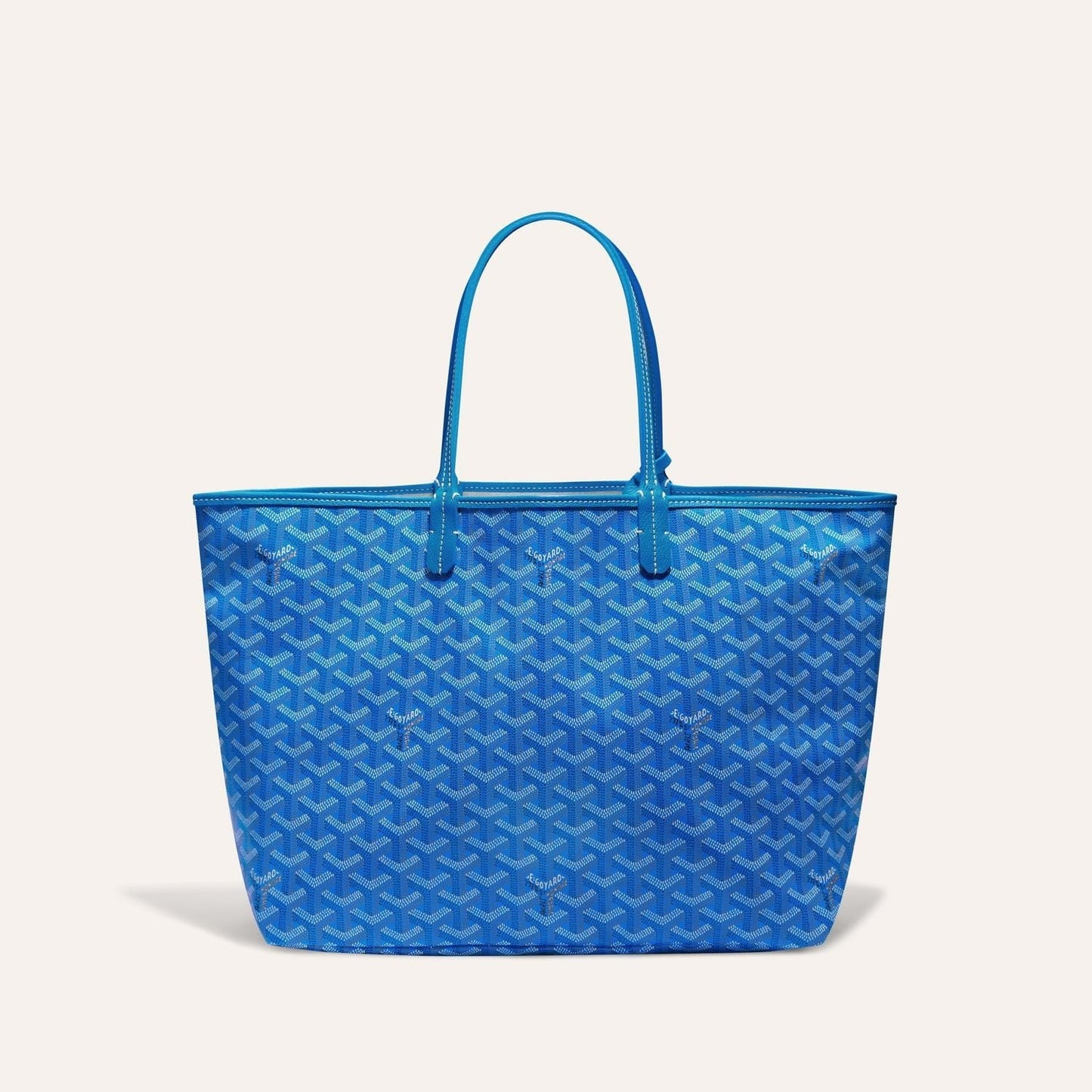 Goyard Saint Louis PM Bag