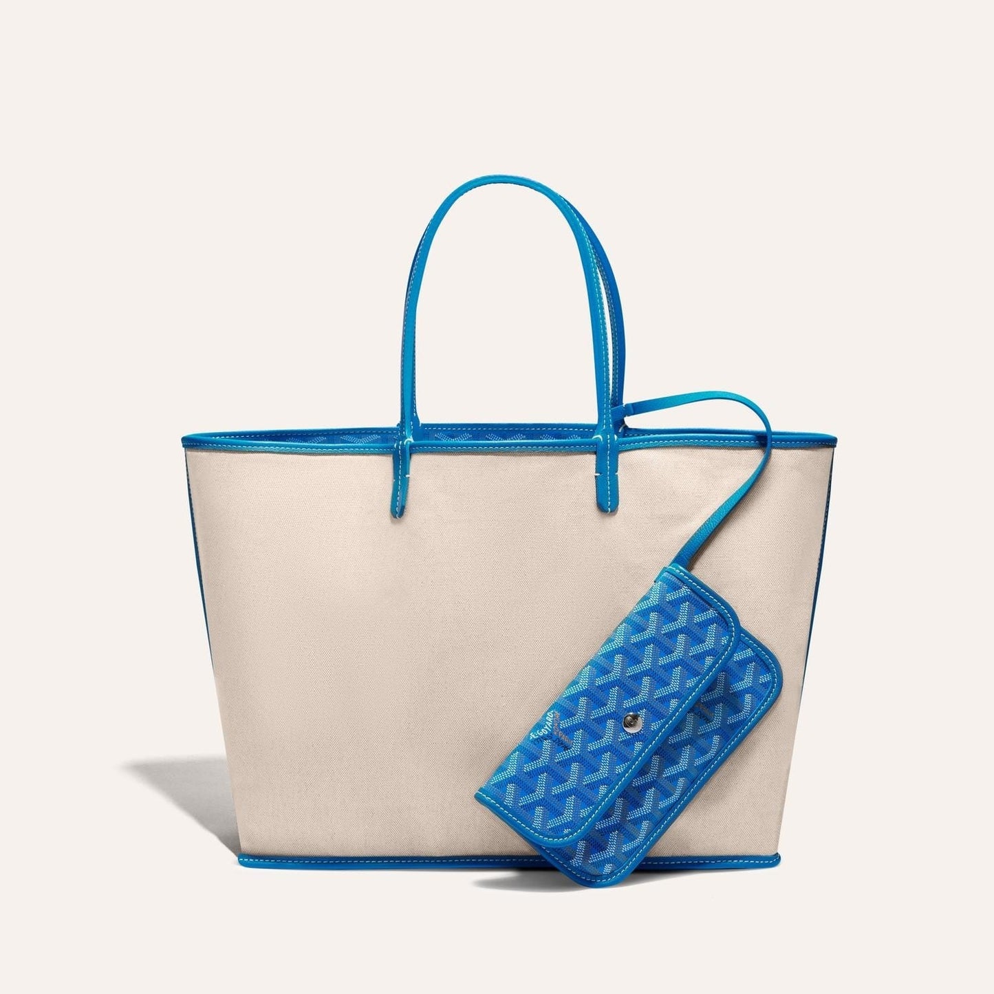 Goyard Saint Louis PM Bag