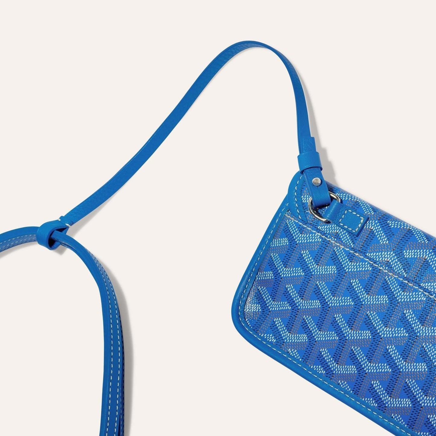 Goyard Saint Louis PM Bag